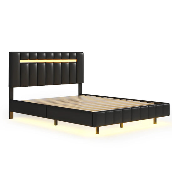 Queen Size Floating Bed Frame with LED Lights